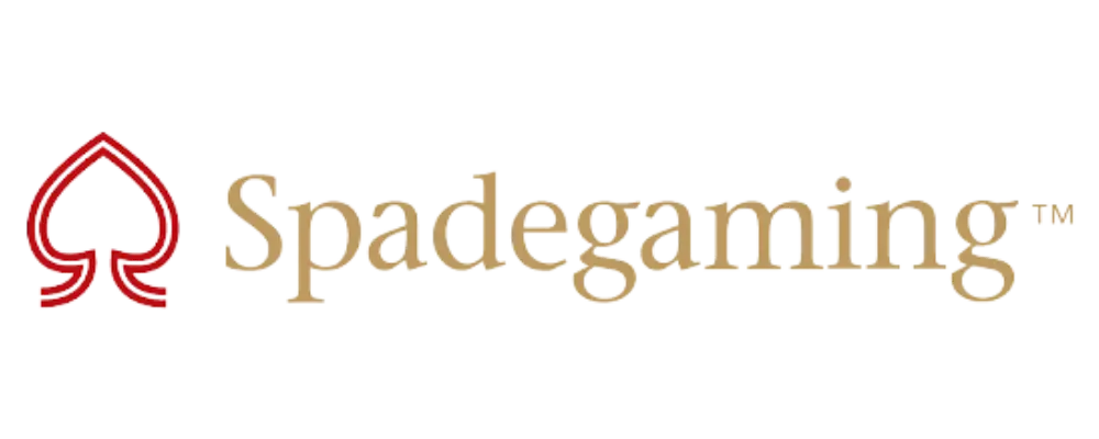 Live Casino Logo